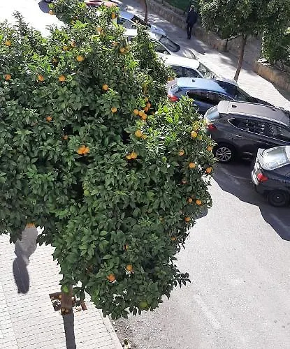 Apartman Sherryhouse Jerez de la Frontera