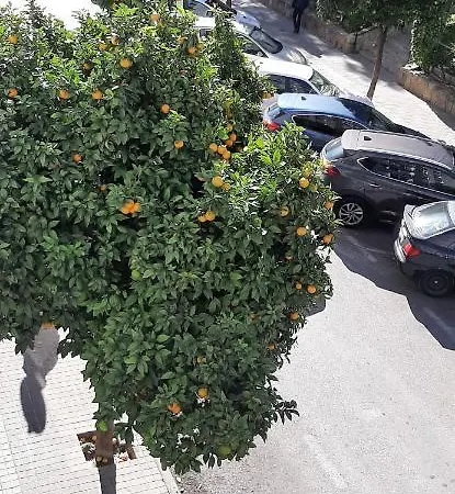 Appartement Sherryhouse Jerez de la Frontera